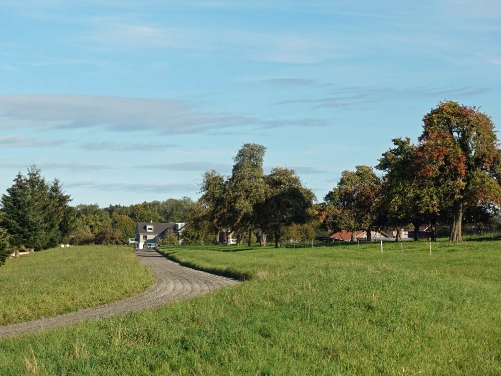 Pferdebahn bei Räuchlisberg