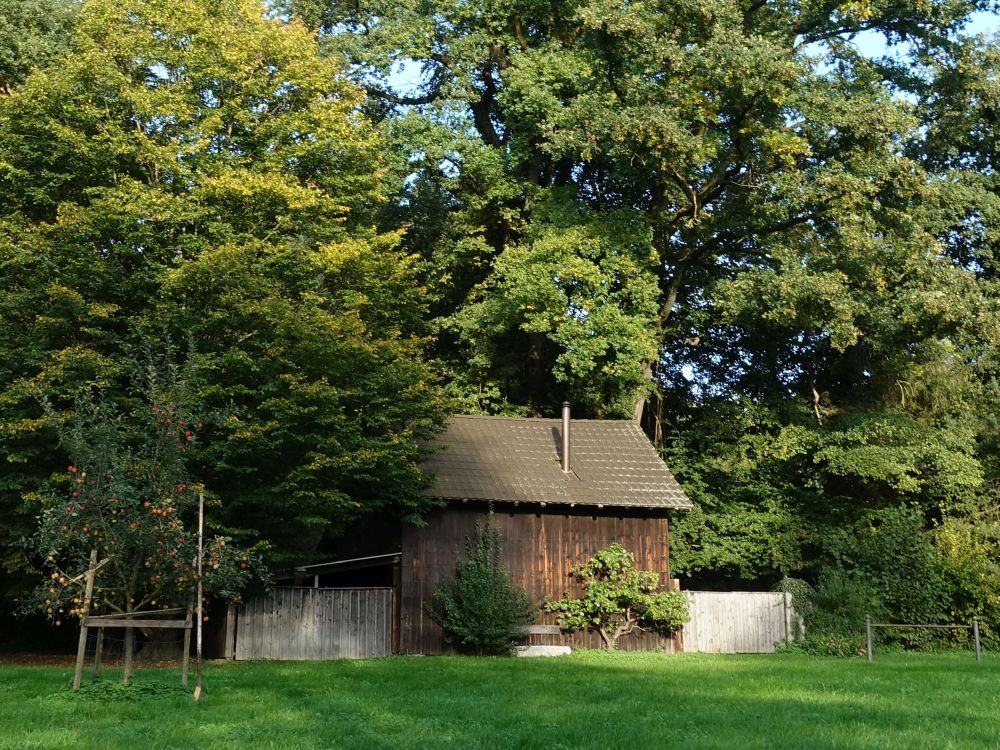 Hütte am Hudelmoos