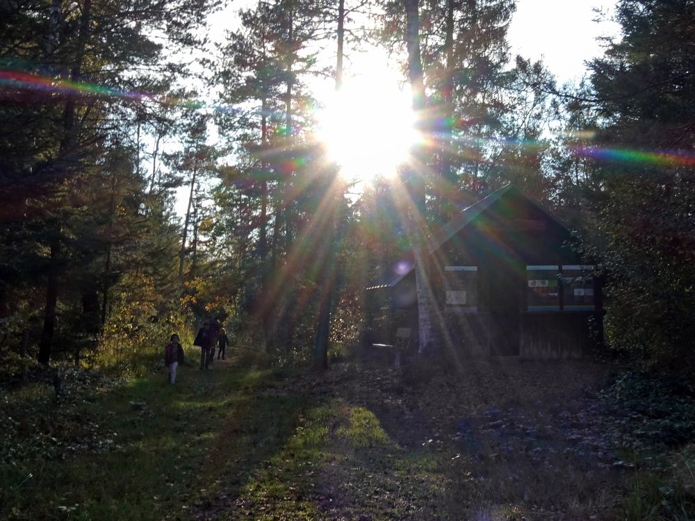 Hütte im Hudelmoos