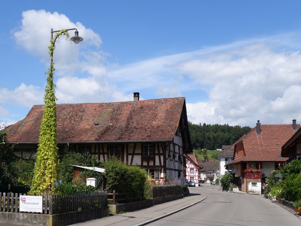 Fachwerkhaus in Rafz