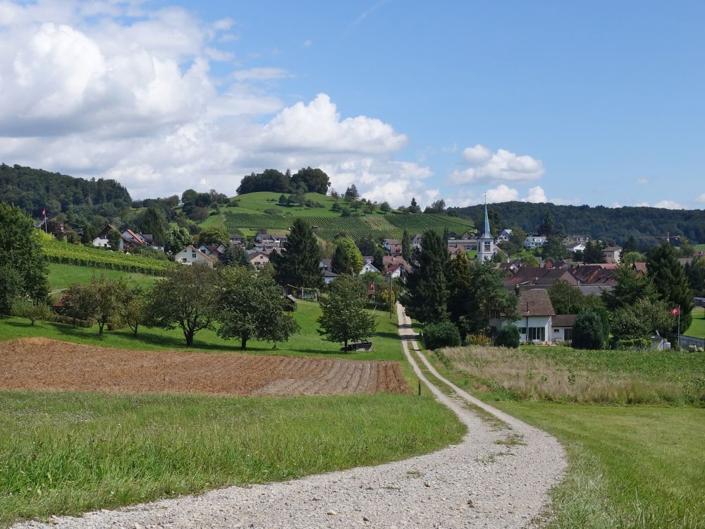 Rafz mit Aussichtsberg Gnal