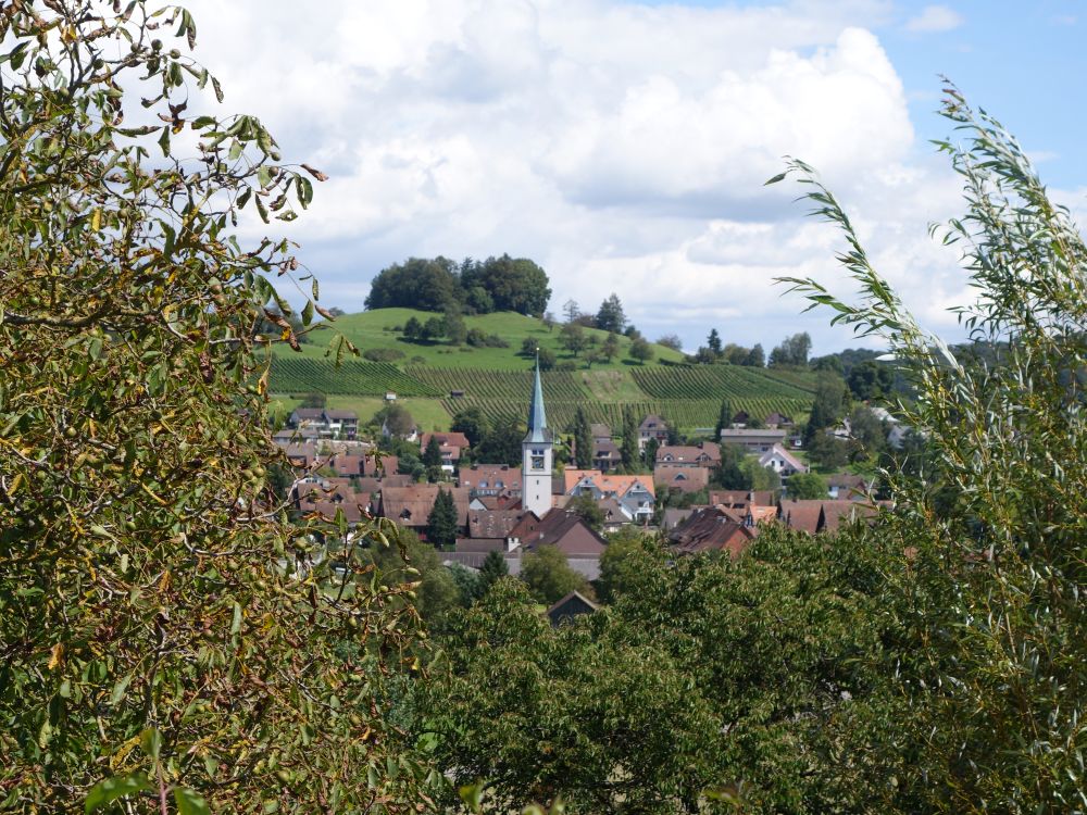 Rafz mit Aussichtsberg Gnal