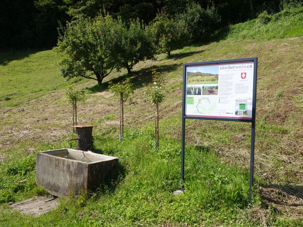 Infotafel Zrcherwein