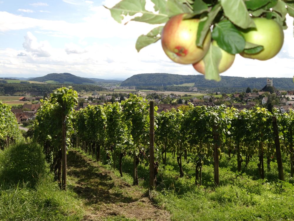 Reben und Äpfel