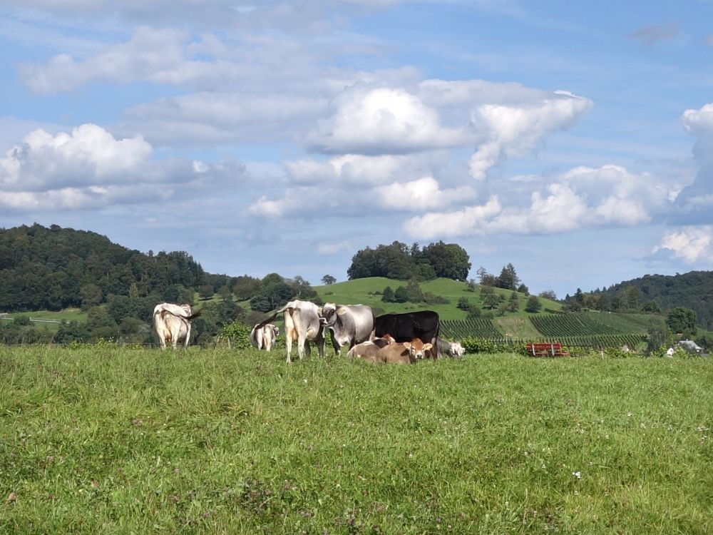 Khe und Aussichtsberg Gnal