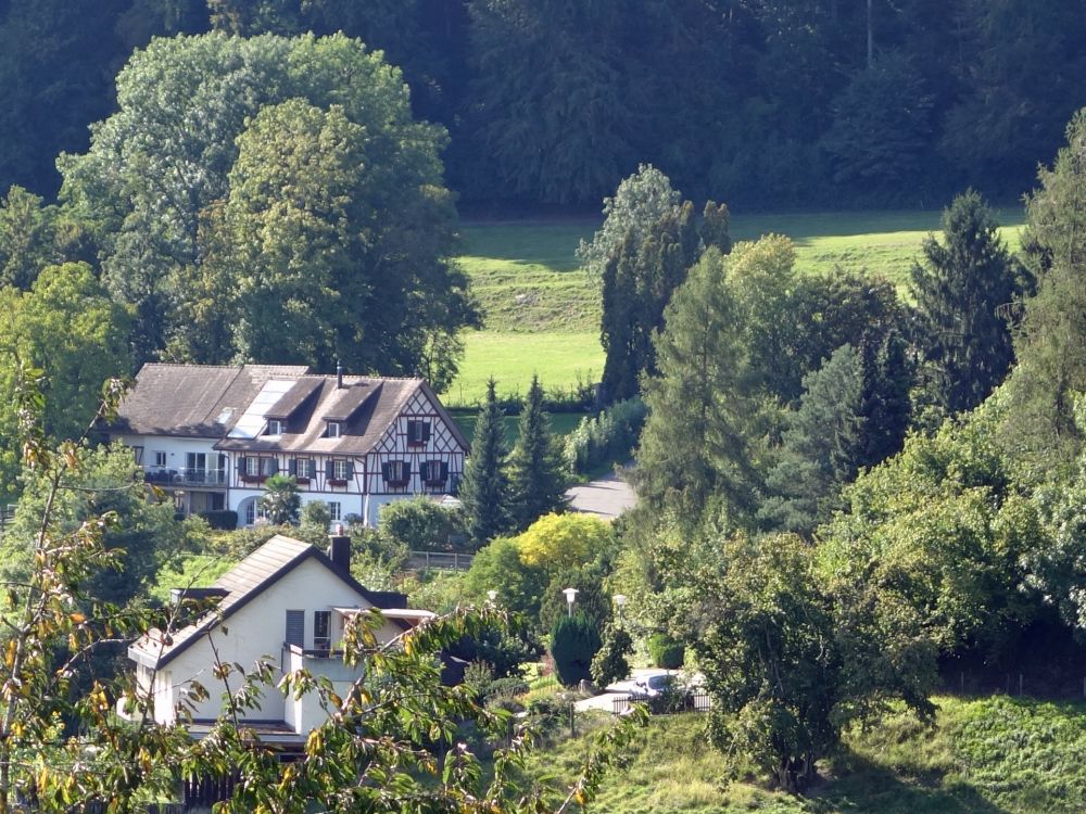 Blick zum Schluchenberg