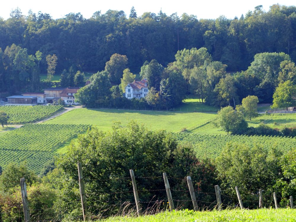 Blick zum Schluchenberg