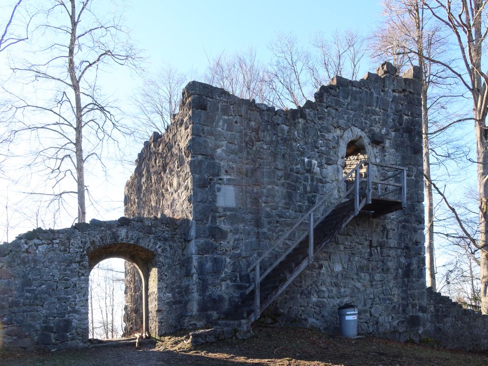 Ruine Rosenburg (Ramsenburg)