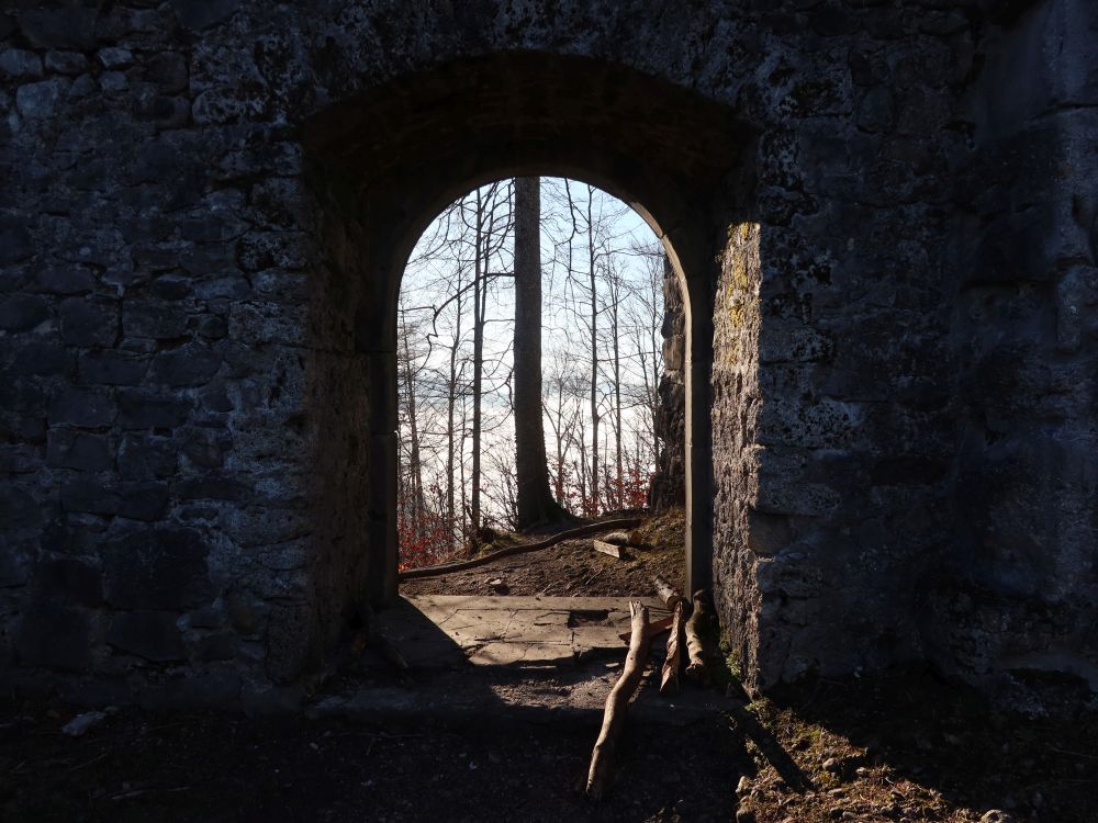 Ruinentor