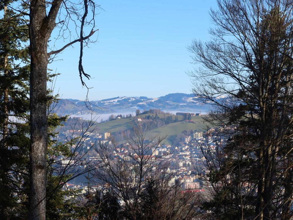 Herisau zwischen Bäumen