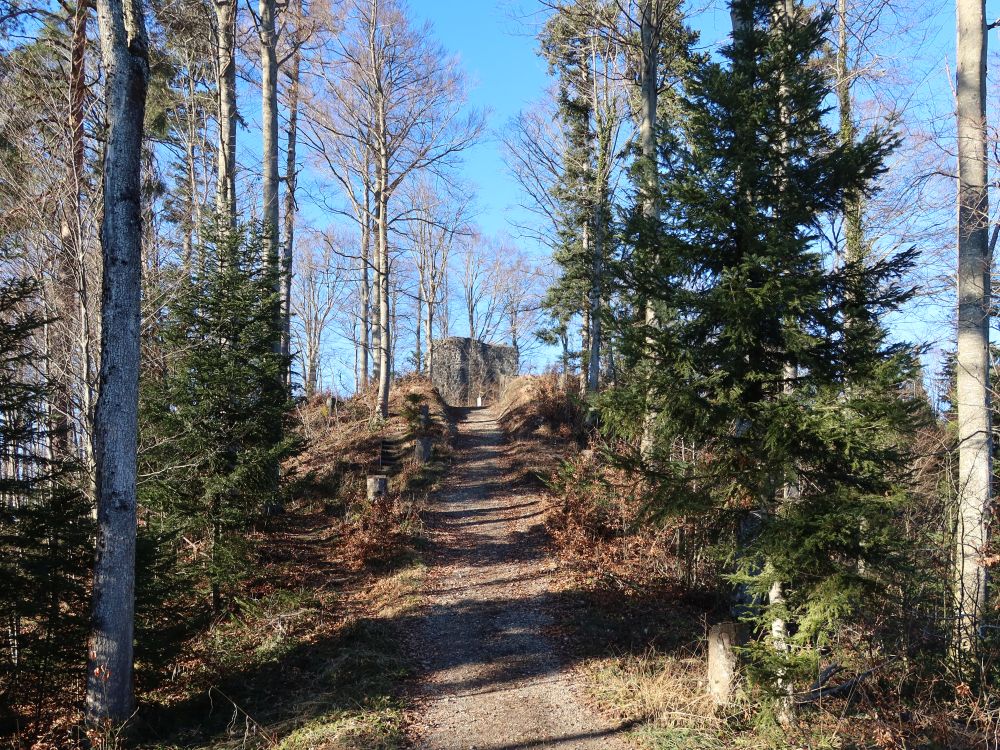 Weg zur Ruine