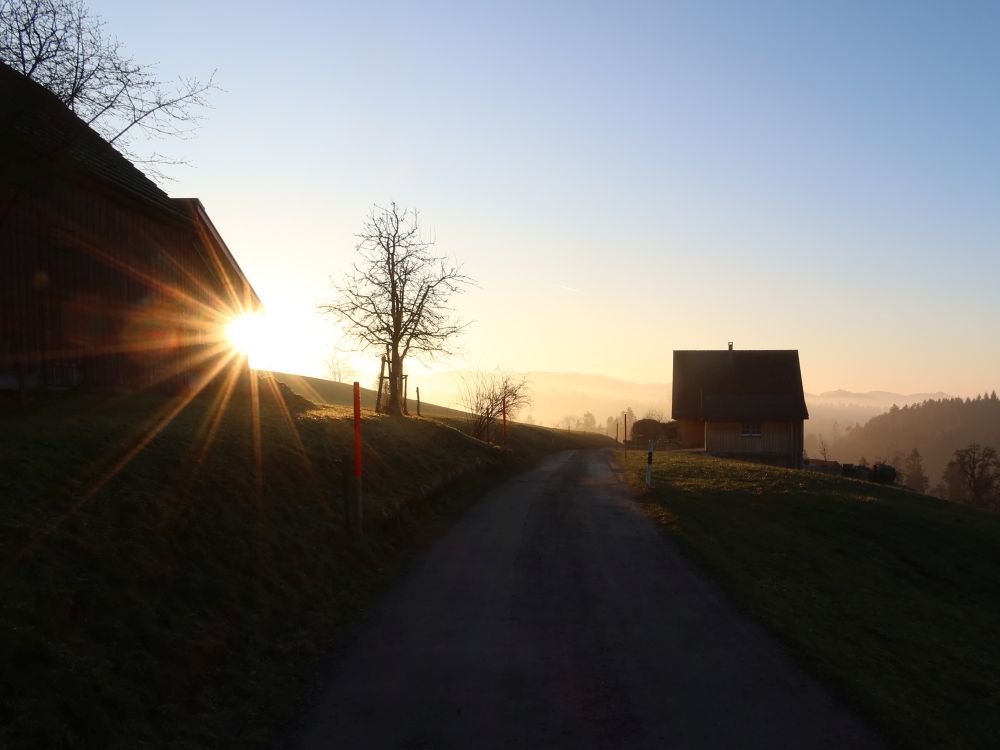 Gegenlicht