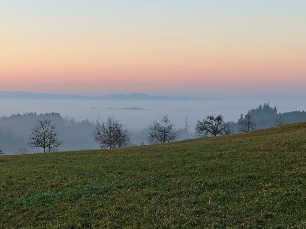 Nebel in den Niederungen