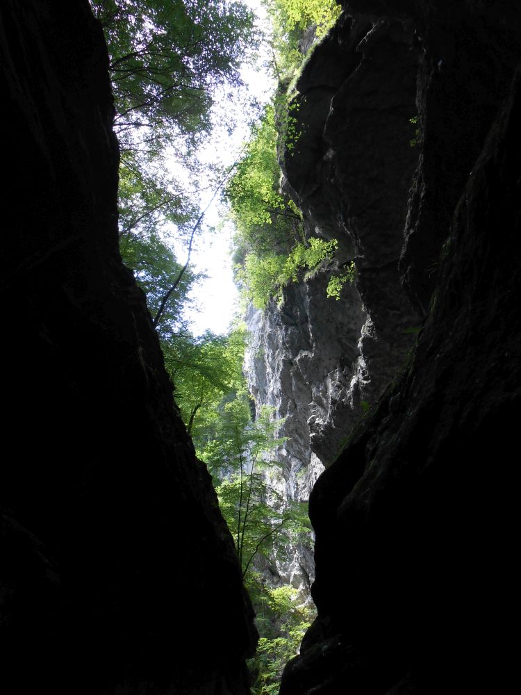 Alplochschlucht