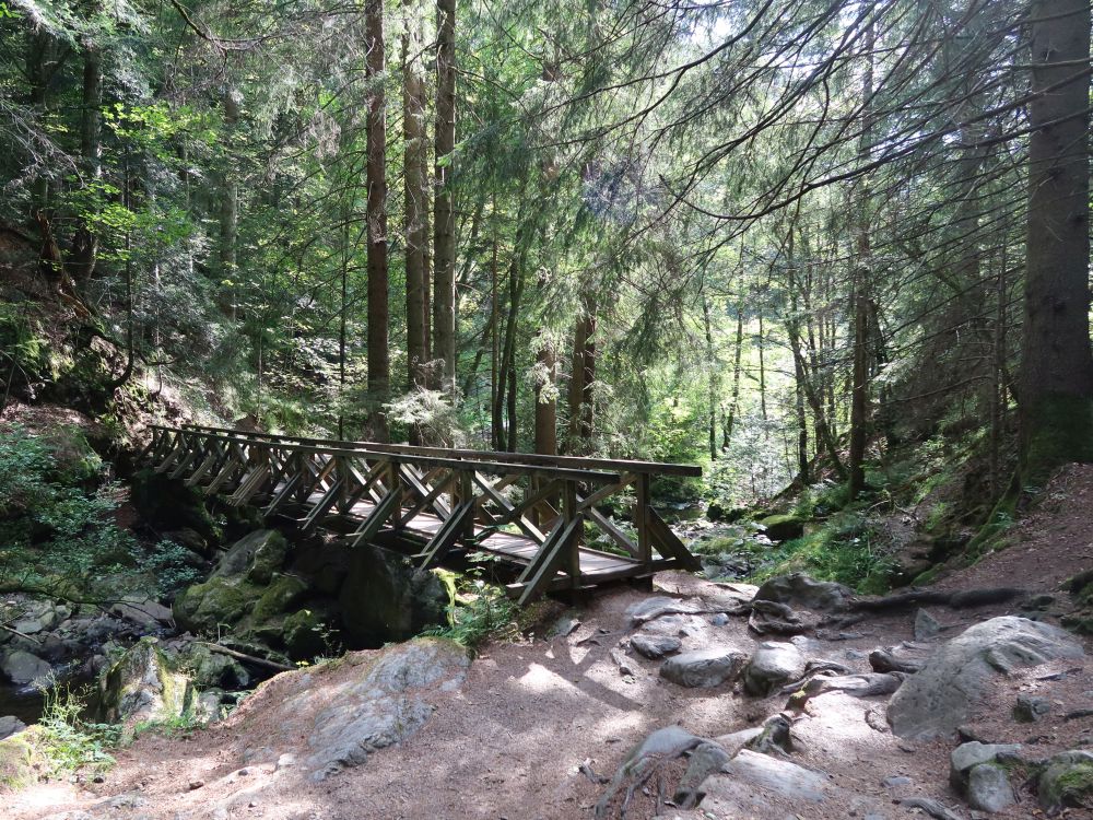 Holzsteg