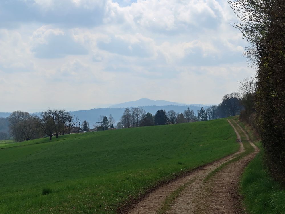 Uetliberg im Dunst