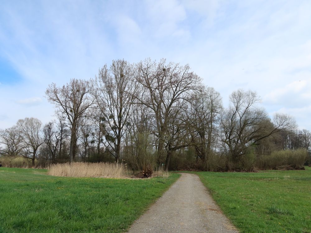Naturschutzgebiet Rütinoisen