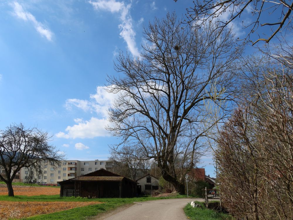 Niedersteinmaur