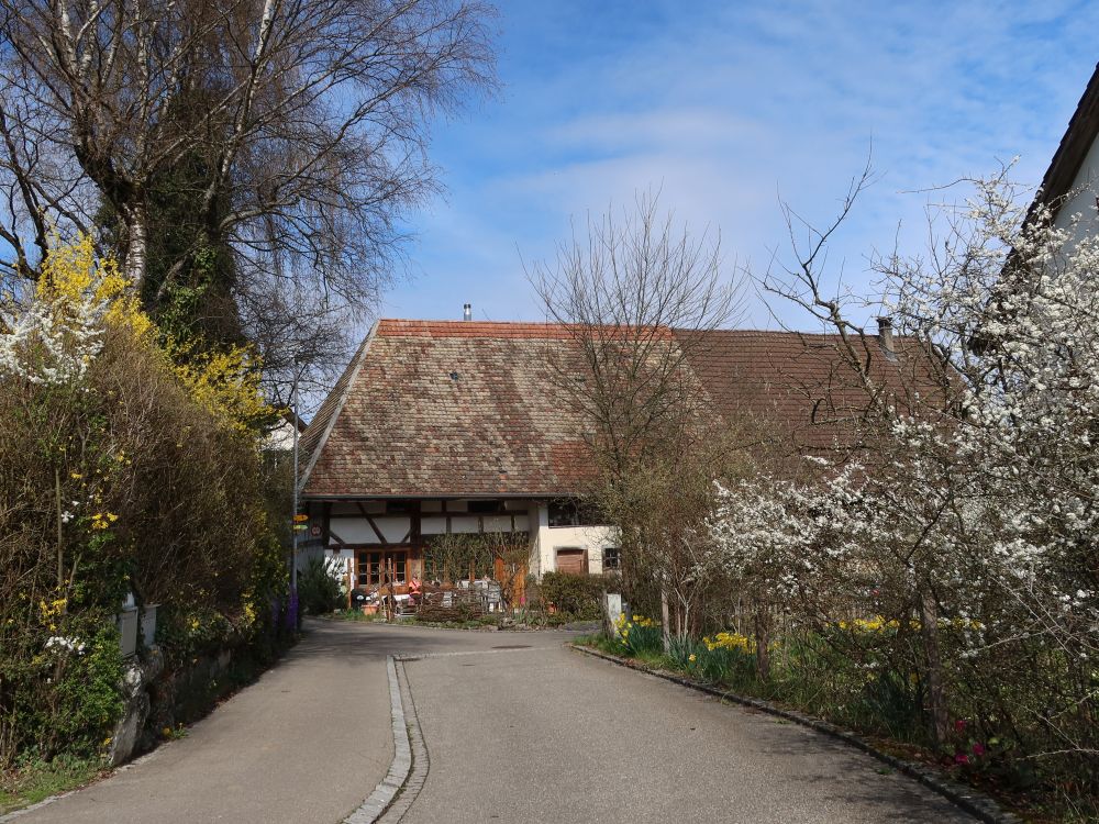 Niedersteinmaur