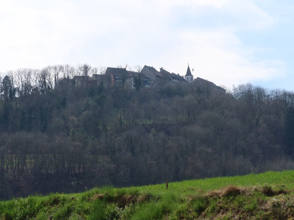 Regensberg