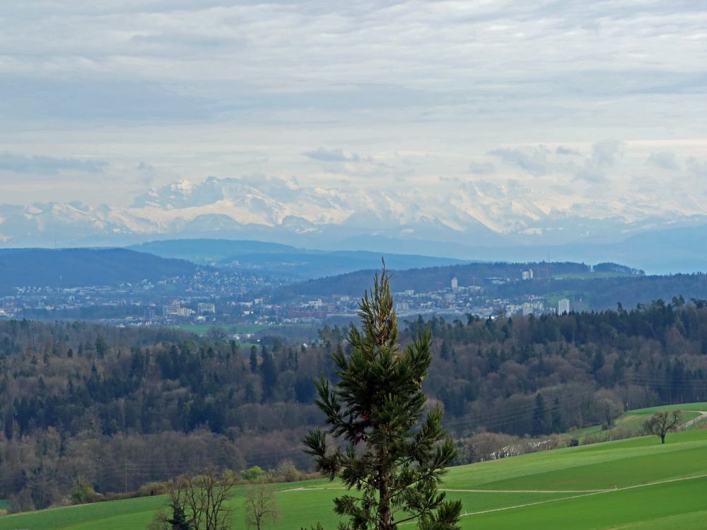 Alpen im Dunst