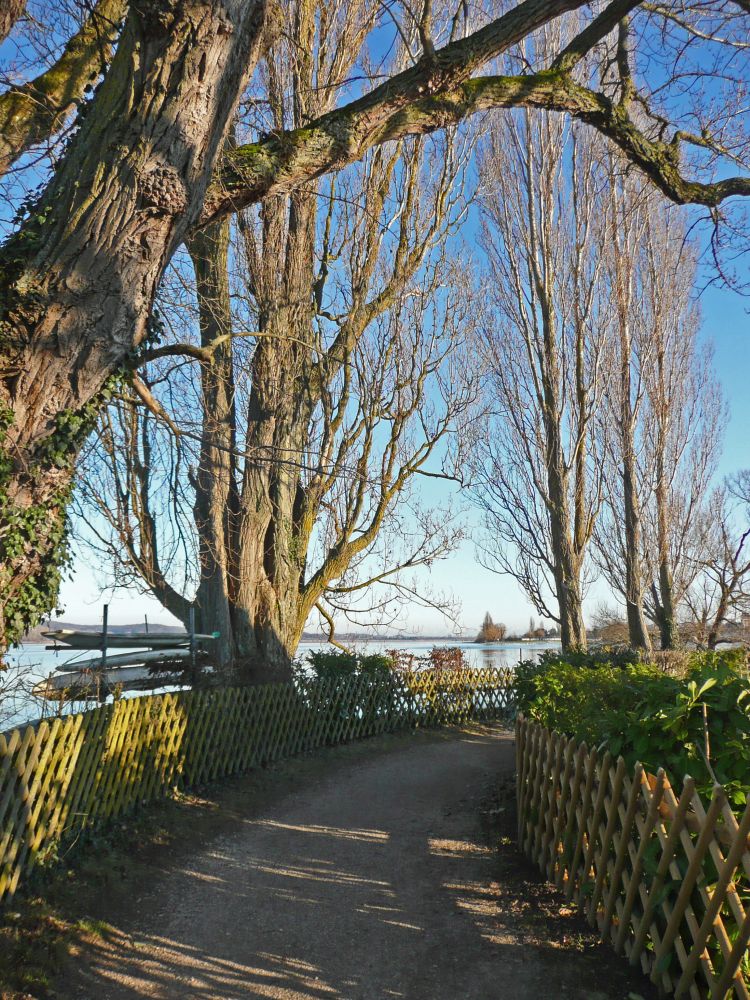 Blick Richtung Strandbad