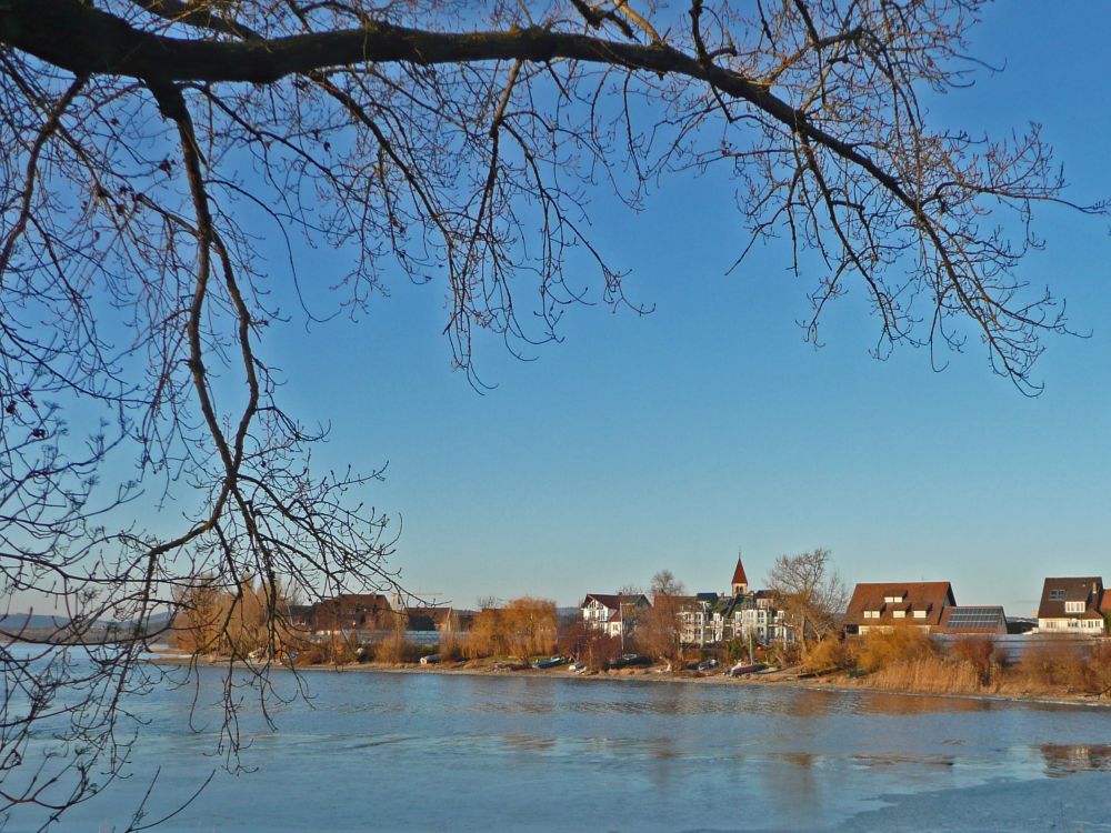 Blick auf Niederzell mit Kirche