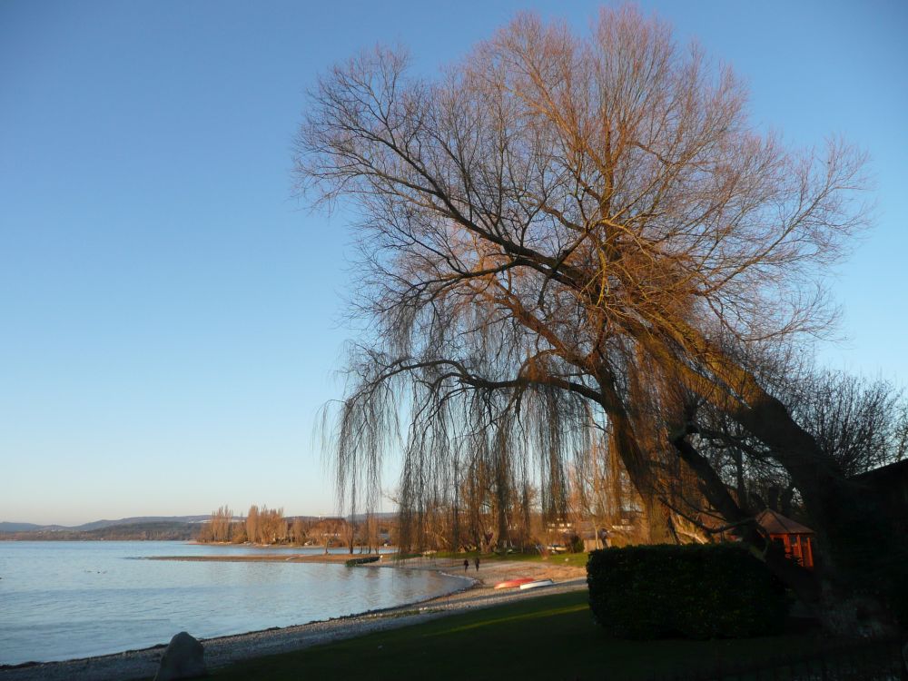 Ufer am Campingplatz