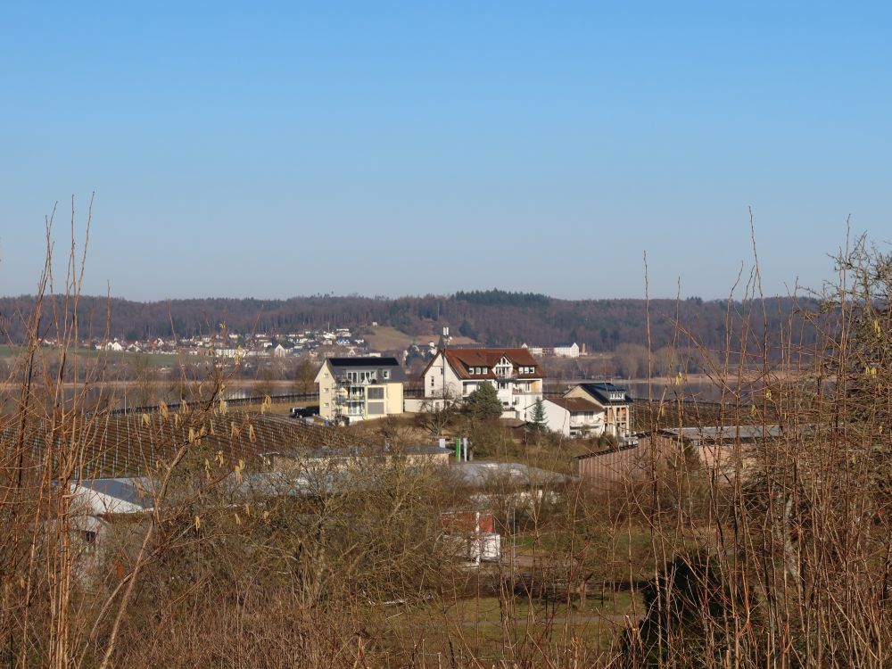 Vögelisberg und Hegne im Hintergrund