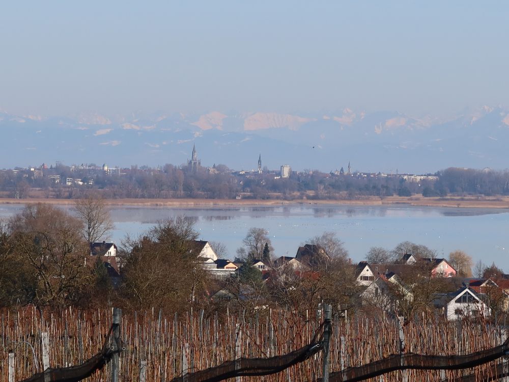 Konstanz und Alpen