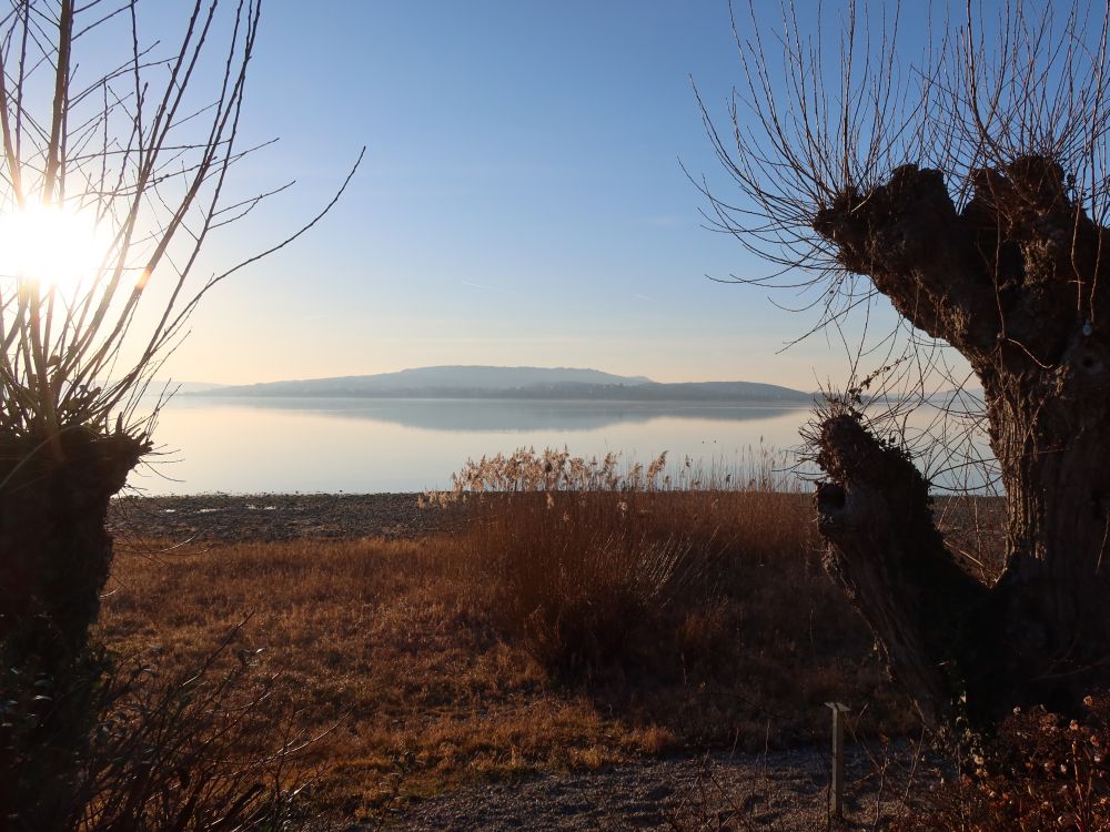 Blick Richtung Höri