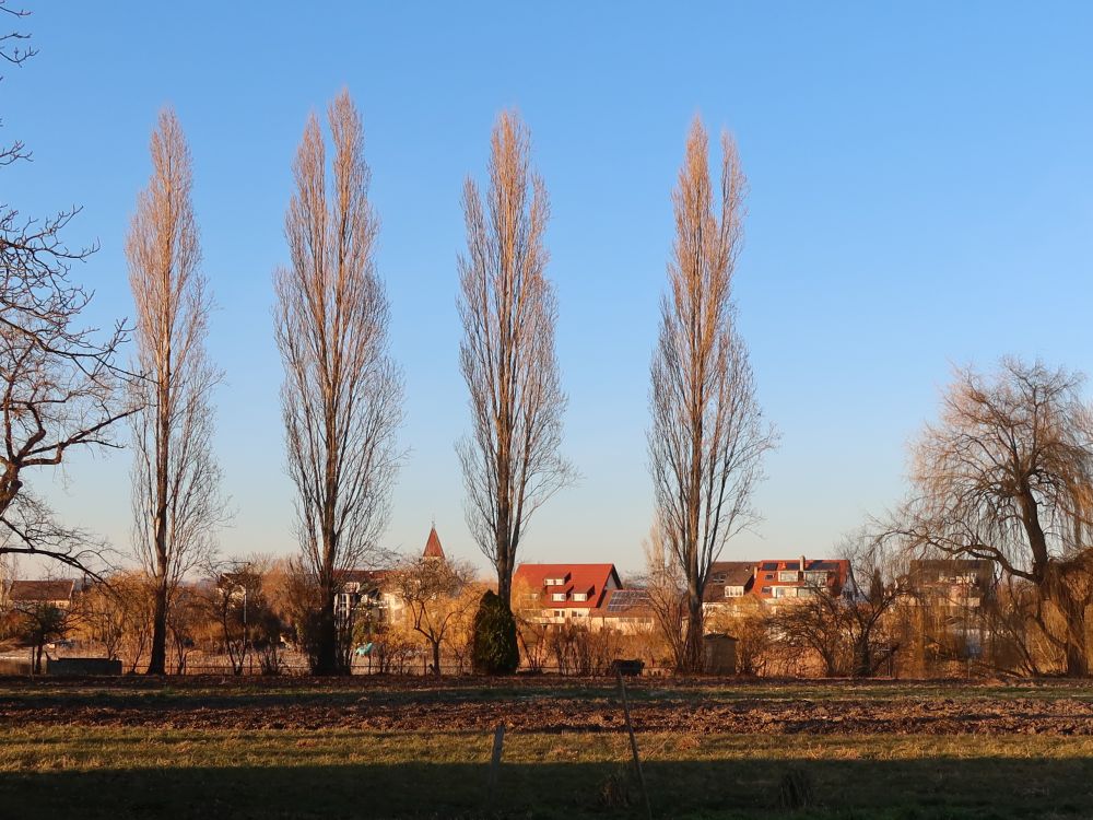 Blick zu St. Peter und Paul