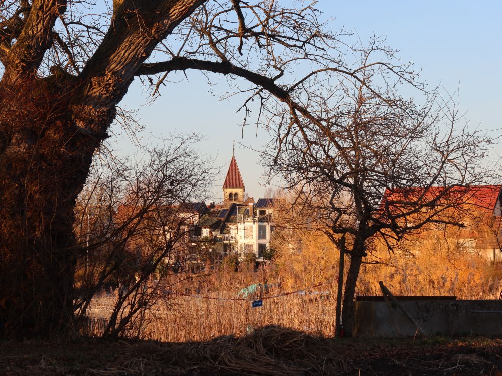 Blick zu St. Peter und Paul