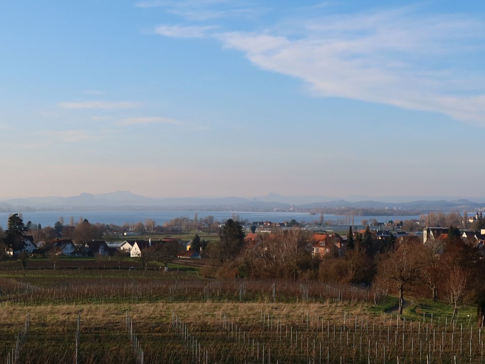 Blick Richtung Hegauberge