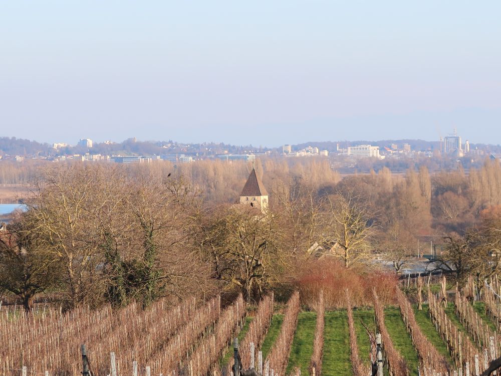 Blick Richtung Konstanz