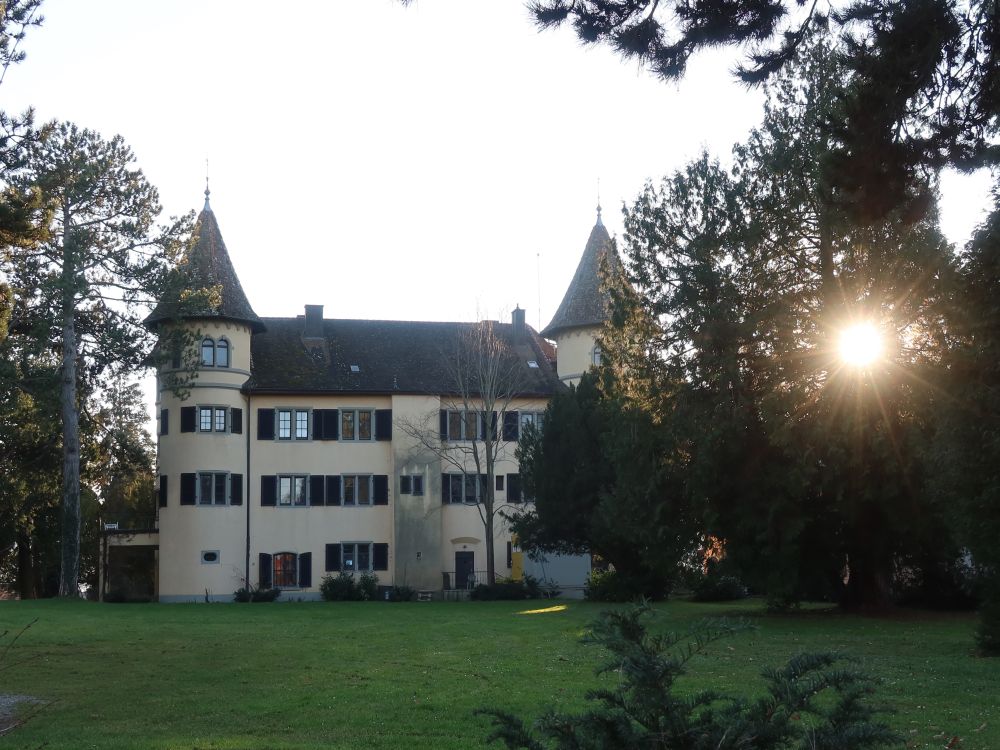 Schloss Königsegg