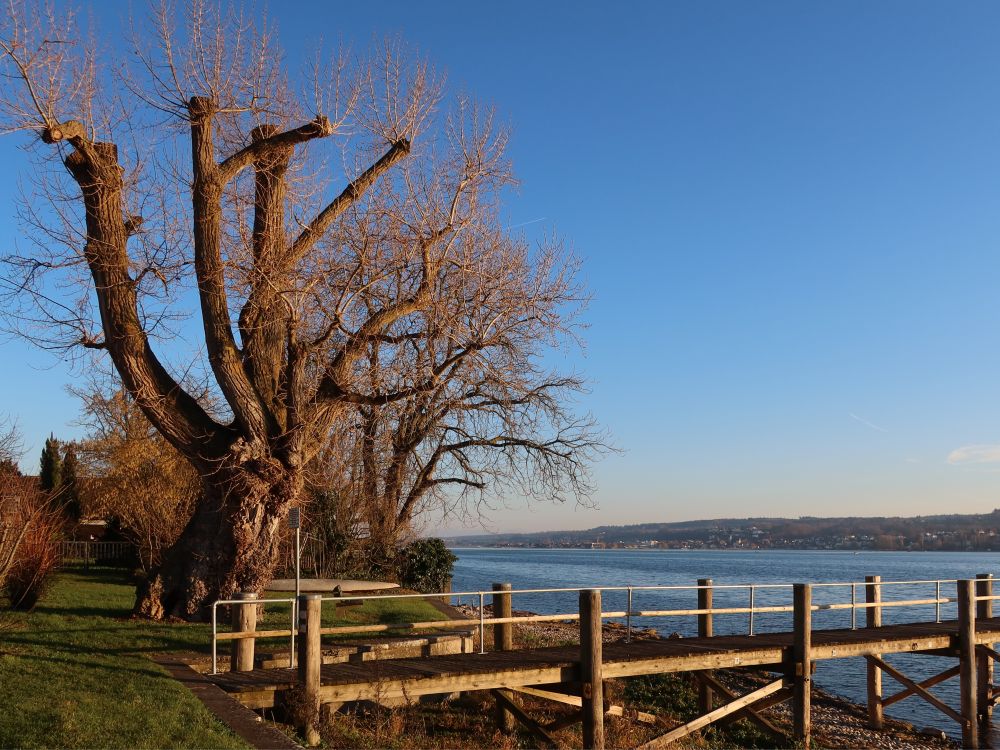 Steg an der Schiffslände