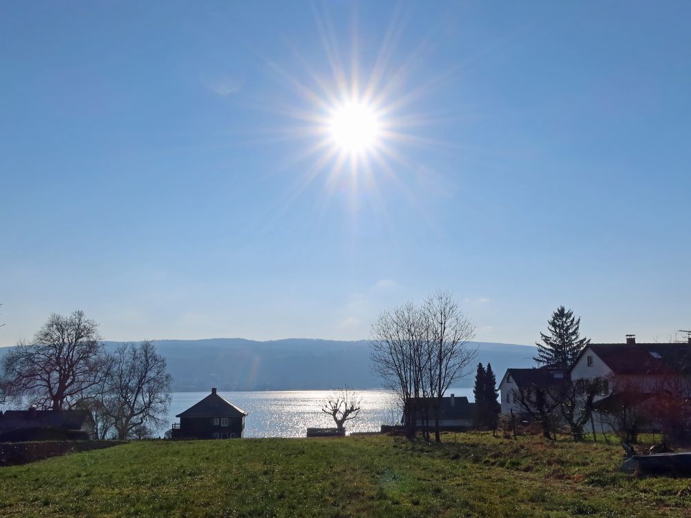 Gegenlicht am Untersee