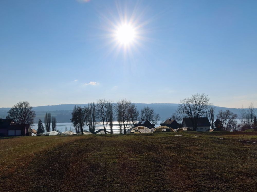 Gegenlich am Untersee