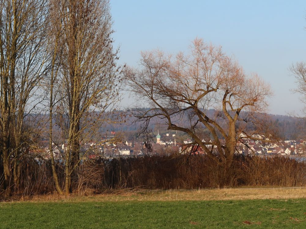 Blick Richtung Allensbach