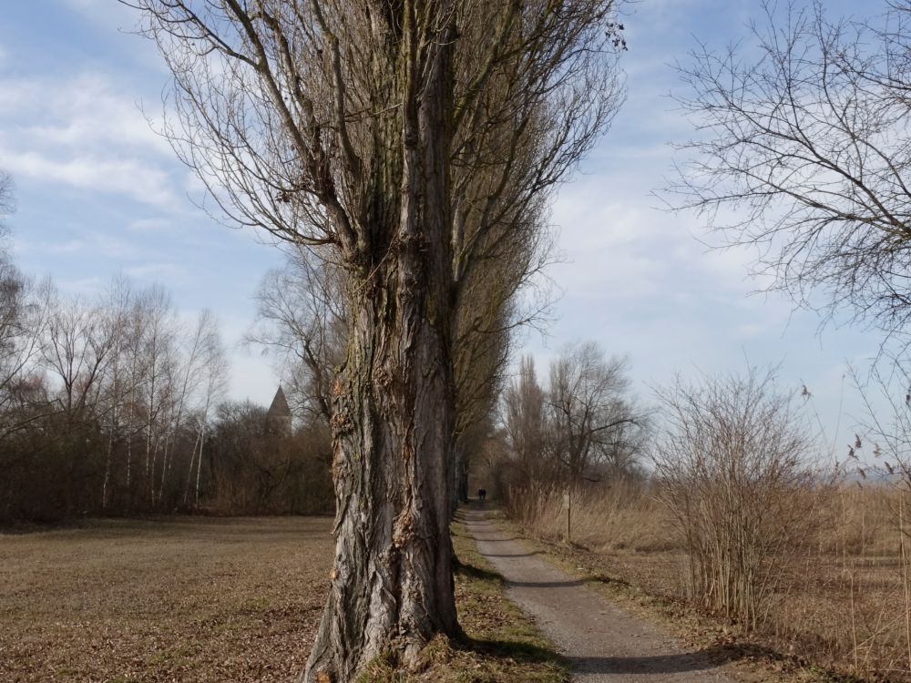 Fussweg Pirminstrasse - St. Georg