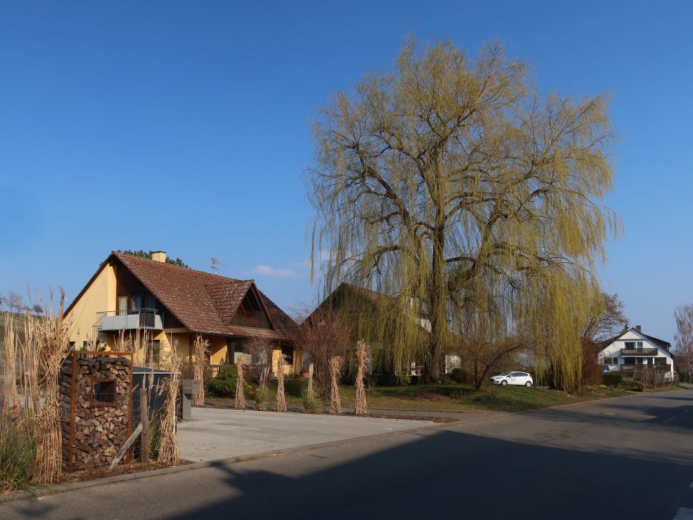 Haus an der Oberen Rheinstrasse