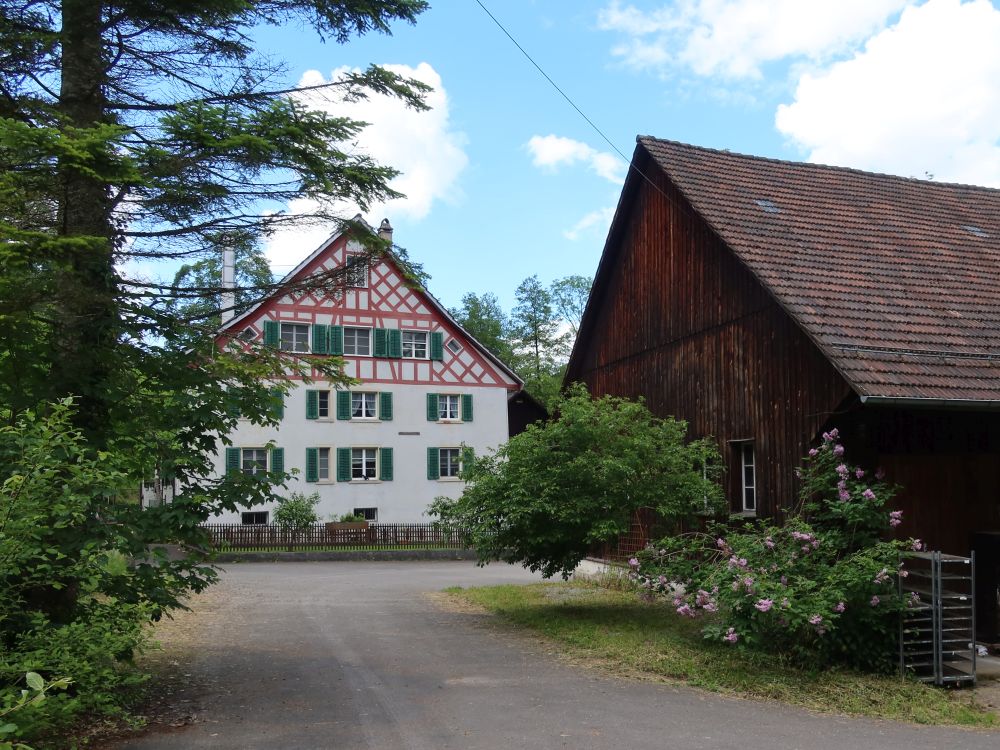 Müli