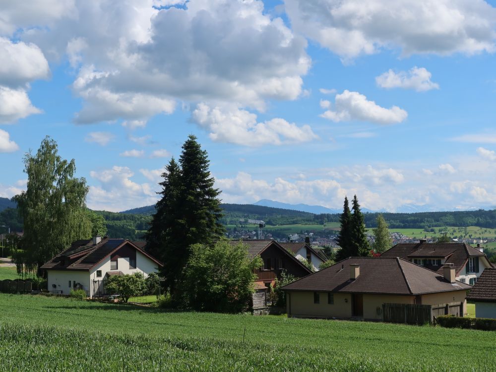 Wettswil mit Rigi