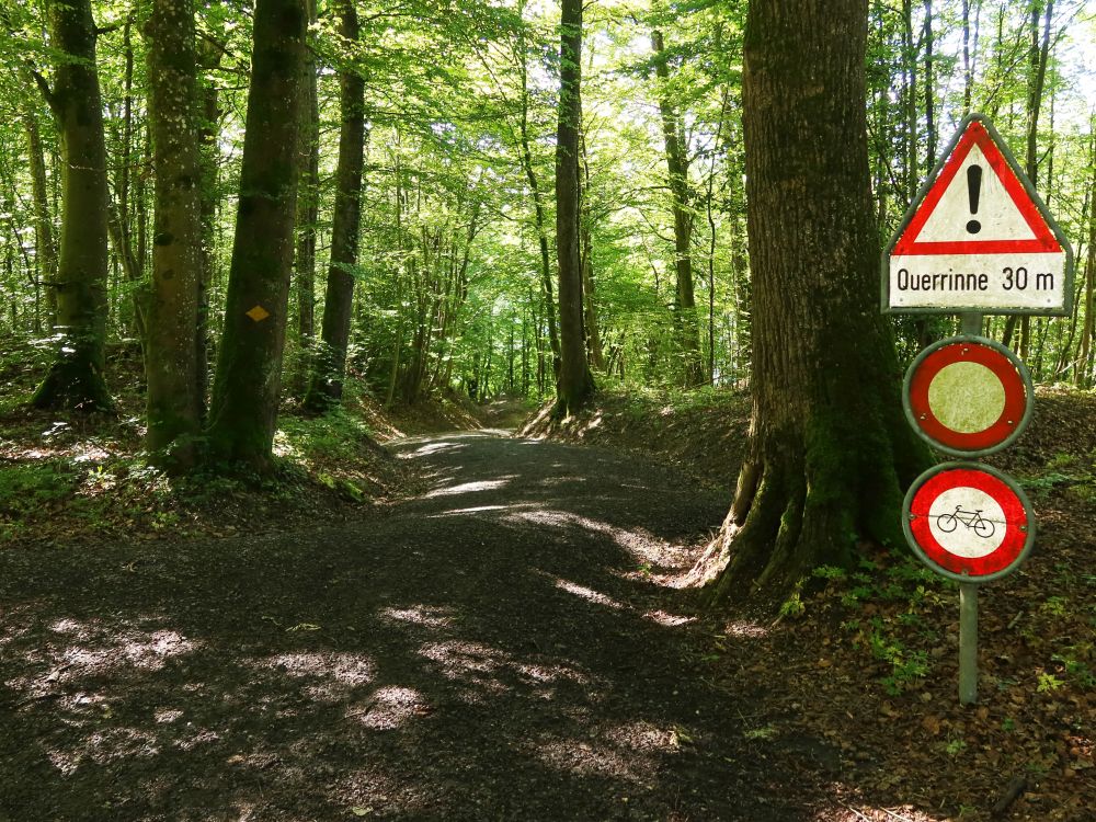 Waldweg