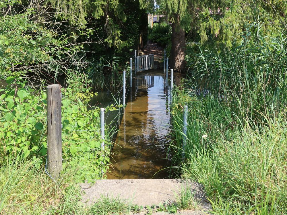gefluteter Steg bei Woogbünte