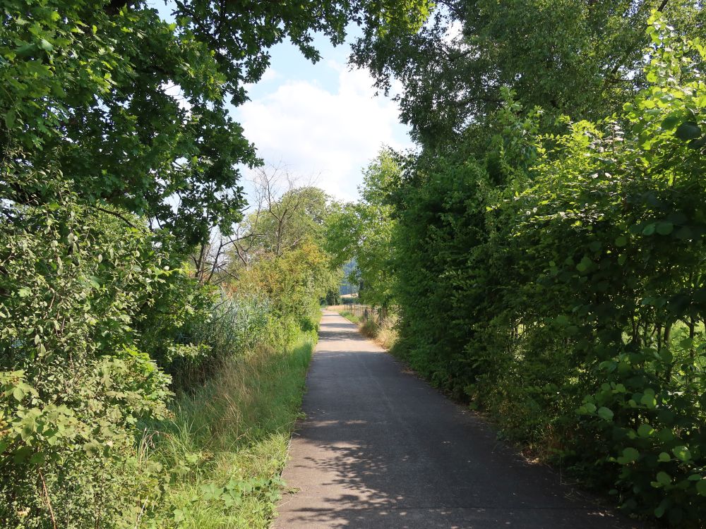 Unterer Kanalweg