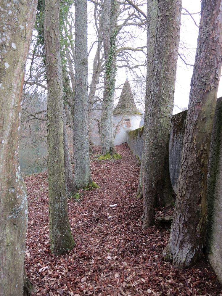 Klostermauer