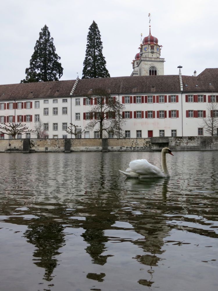 Kloster Rheinau