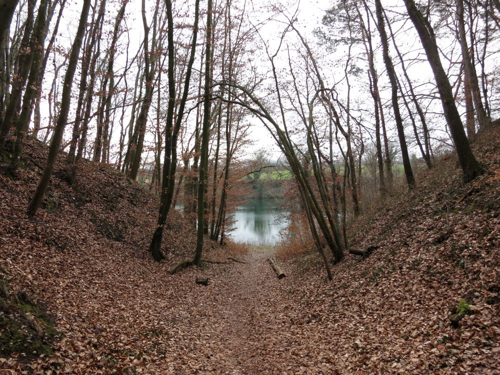 Pfad zum Rhein bei Schwaben